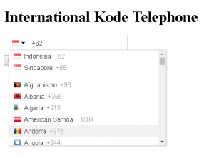 Input Telepon Internasional